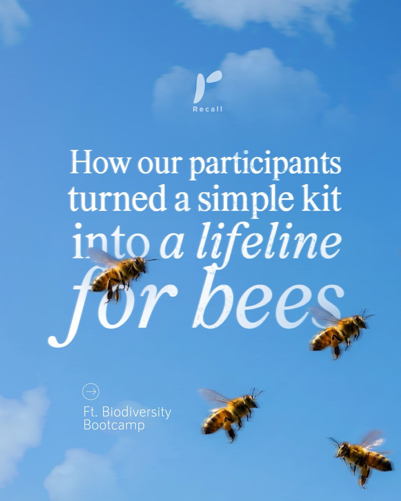 Recall social post — How participants turned a simple kit into a lifeline for bees