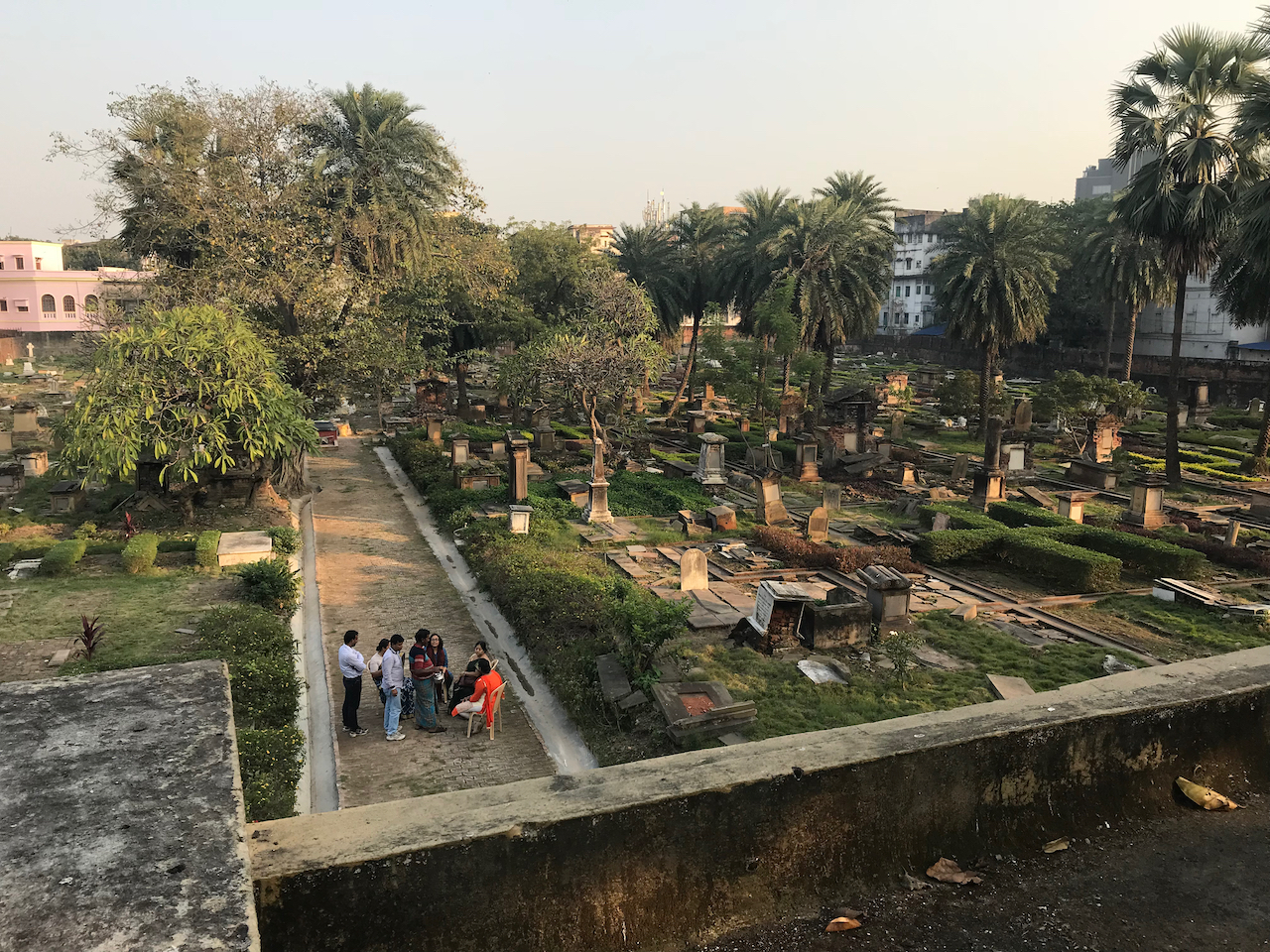Tombs reclaimed by green inside the biodiversity park